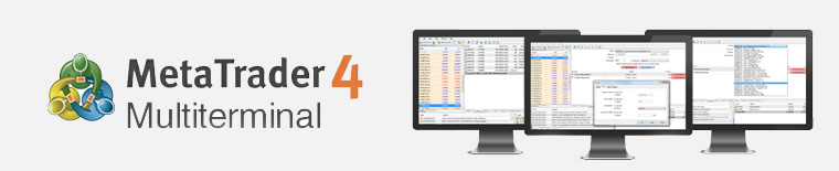 multi terminal metatrader4